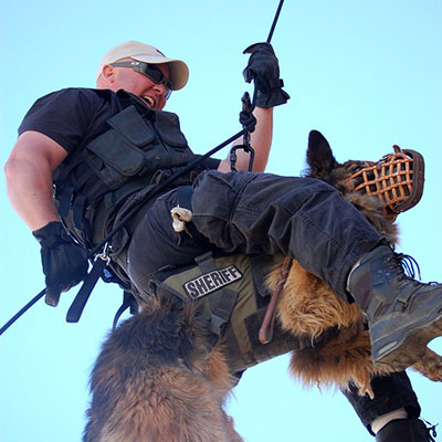 K-9 Services