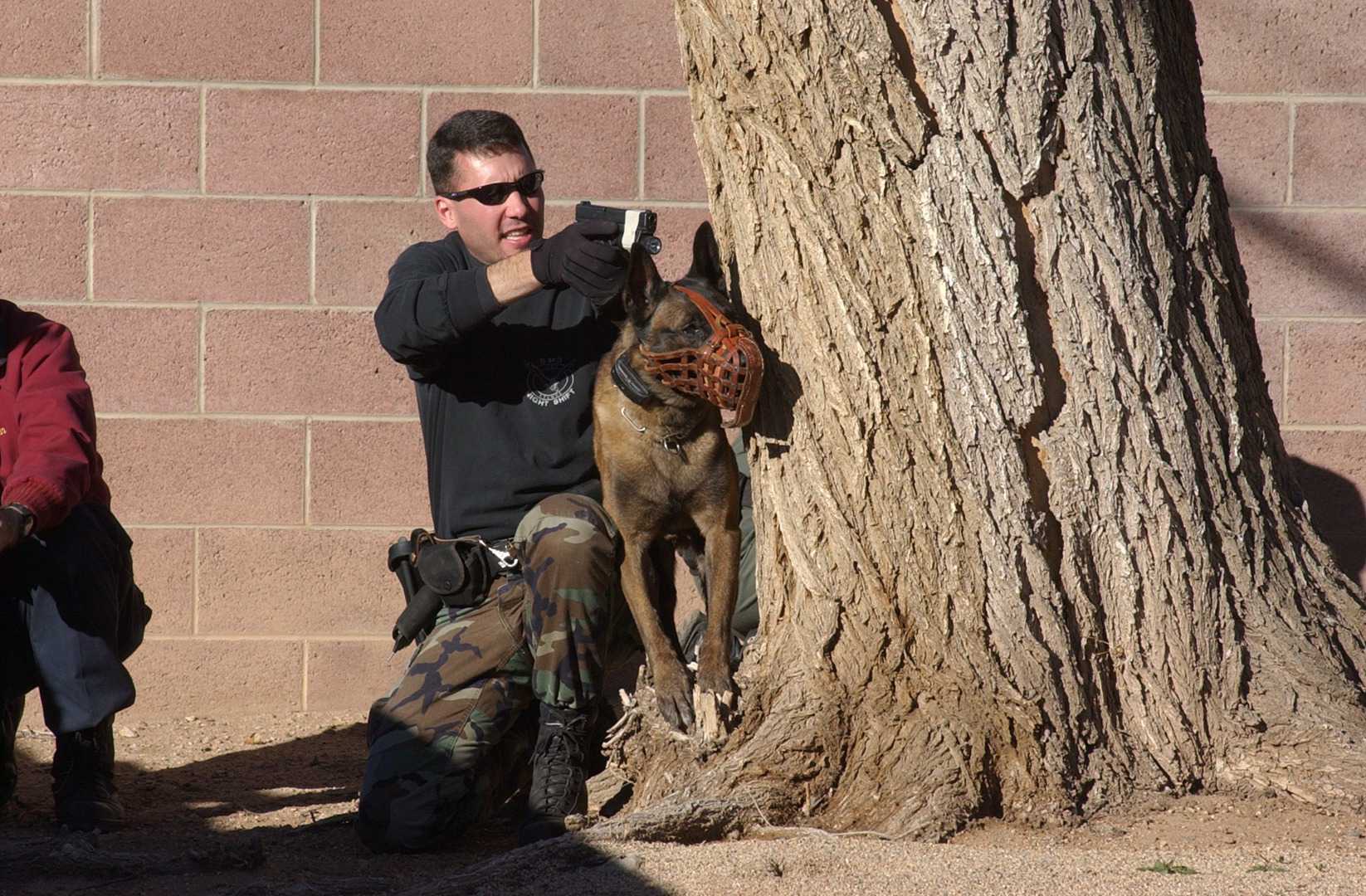K-9 Services