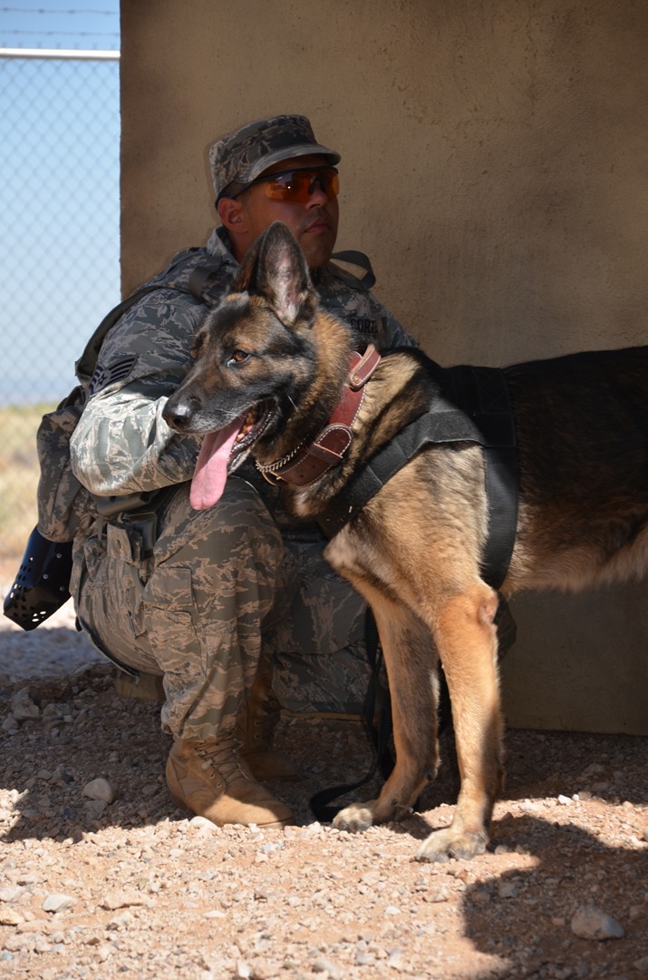 K-9 Services